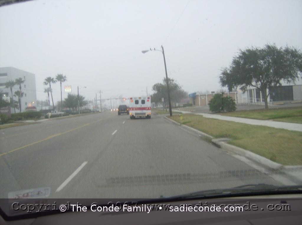 Sadie memorial photograph