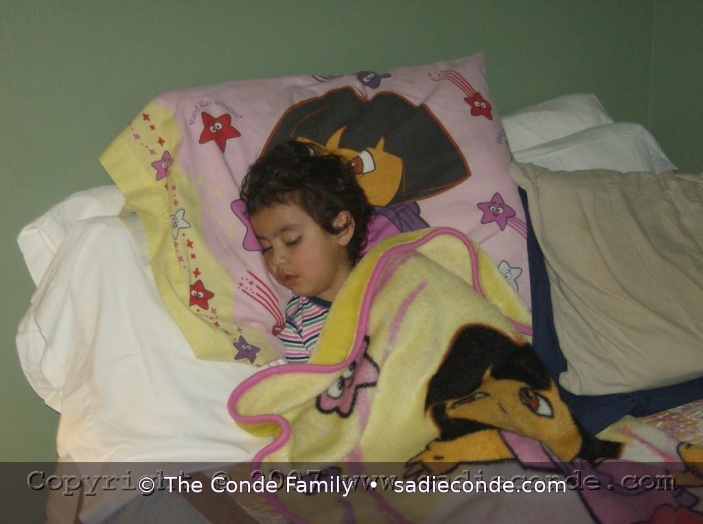 Sadie memorial photograph