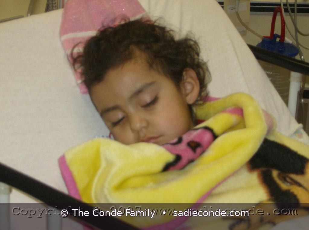 Sadie memorial photograph
