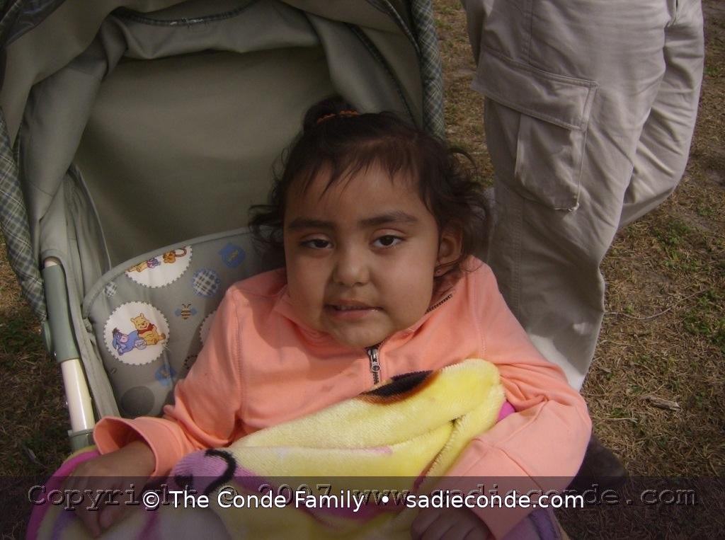 Sadie memorial photograph